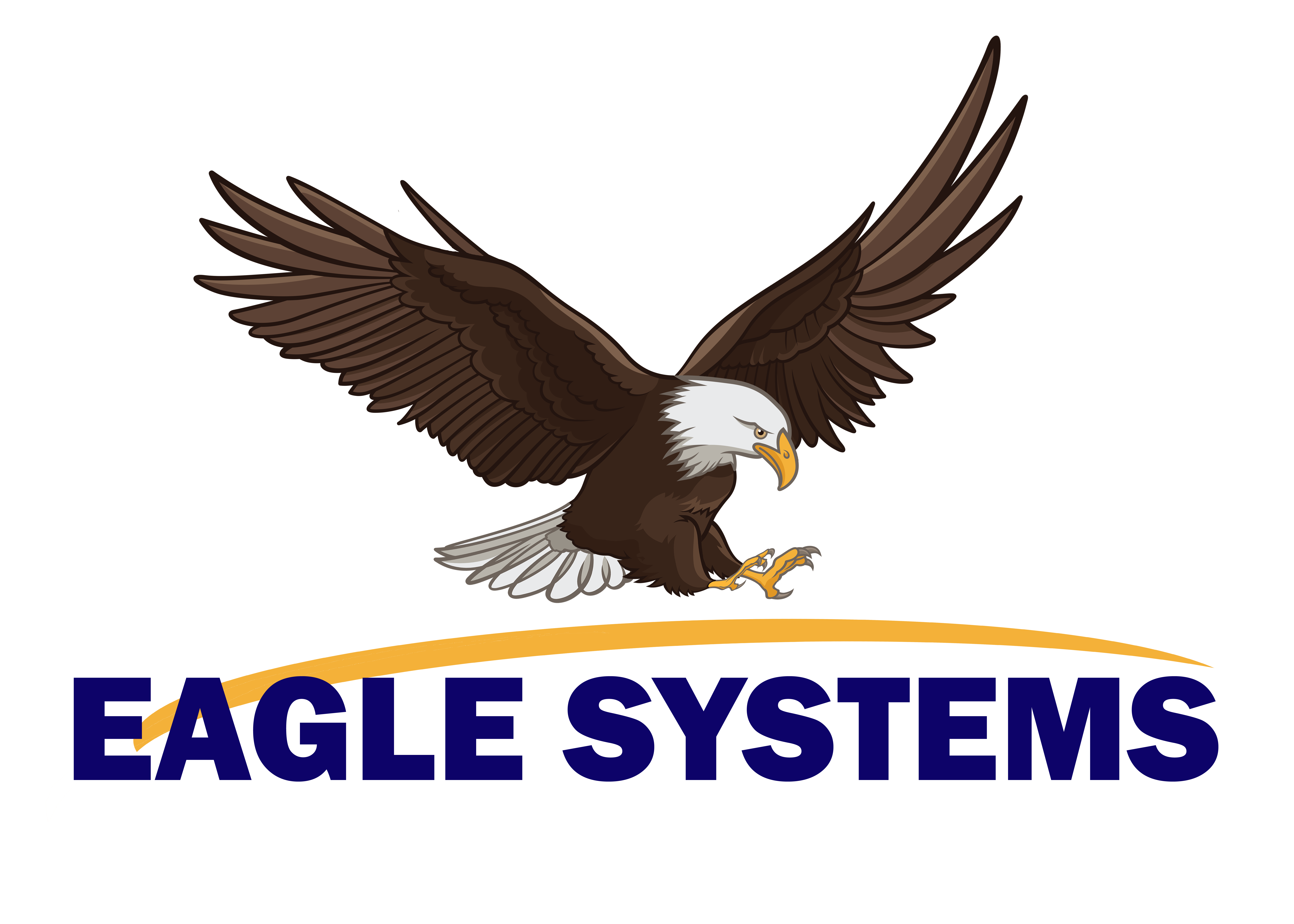 Eagle Systems, Inc.